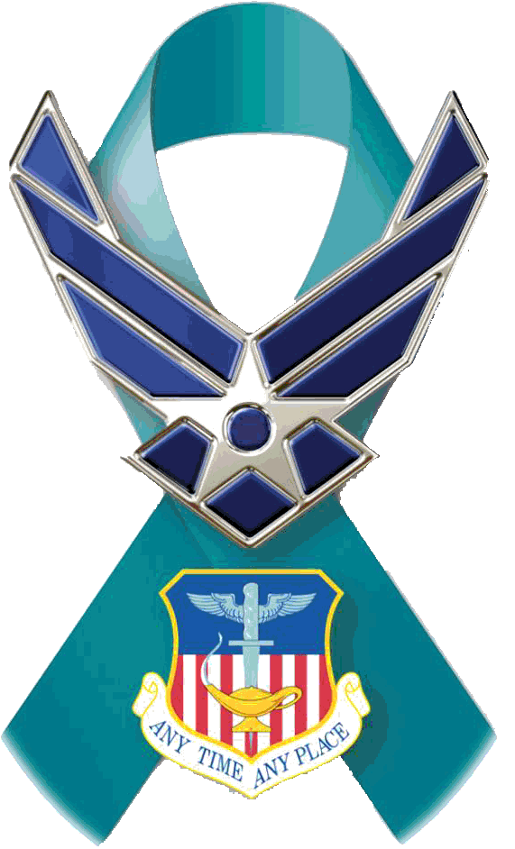 505th Command and Control Wing > Home > SAPR